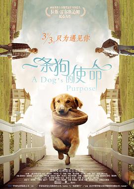 在线观看天堂av