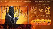 在这个特别时期，整体数据表现平稳向上。