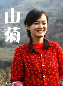 国产精品视频免费在线观看