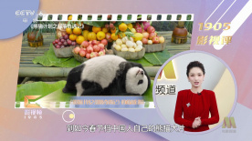 天天做天天看夜夜爽毛片